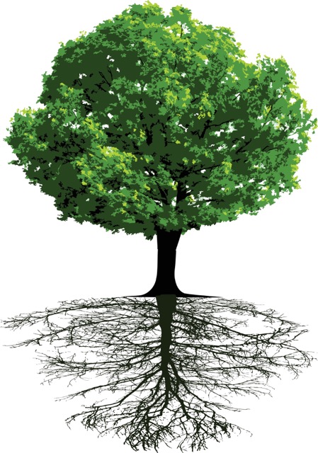 Illustration av träd med dess rötter.